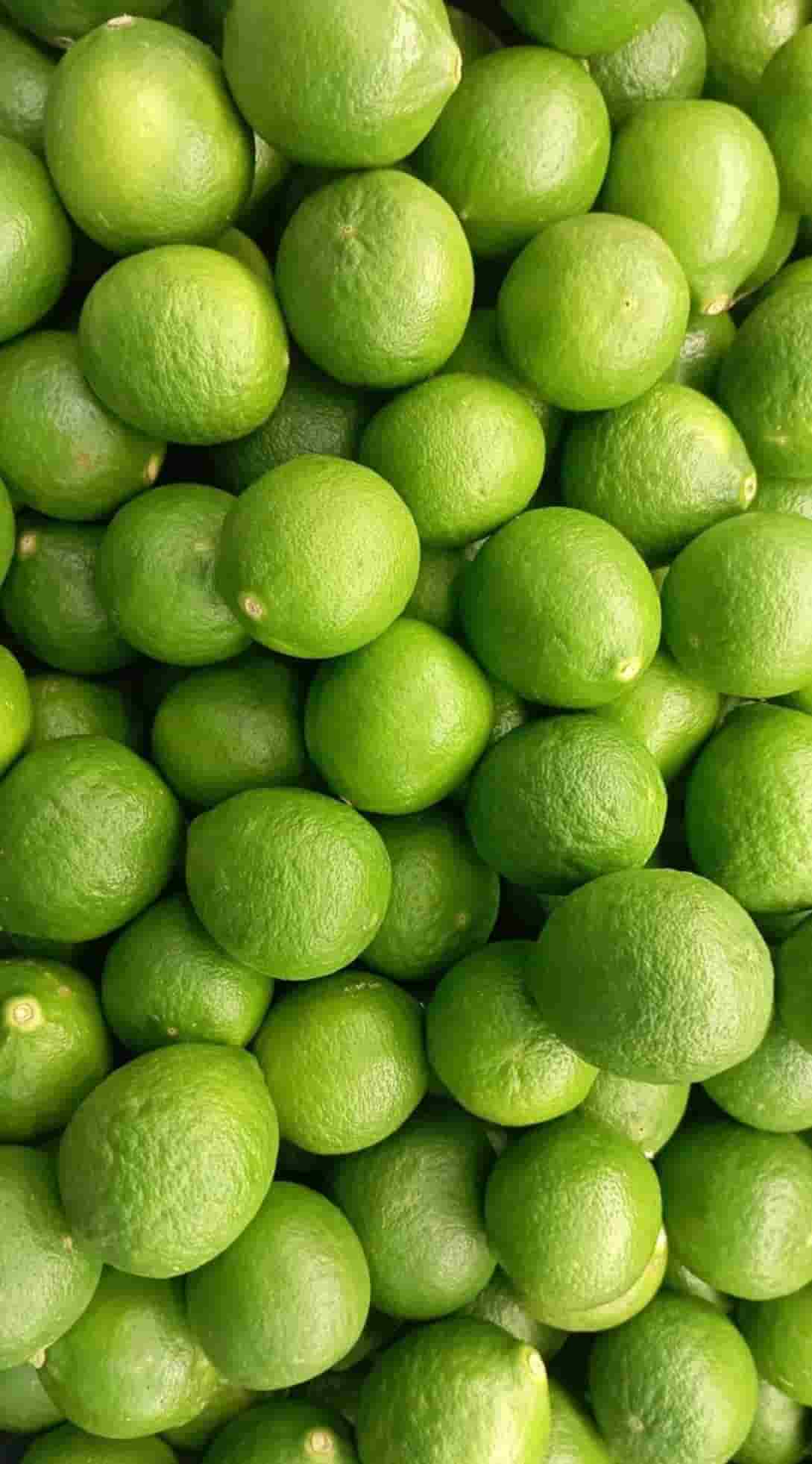 تصویر 1 از لیمو ترش سبز درجه یک مناسب مصارف خانگی و رستورانی